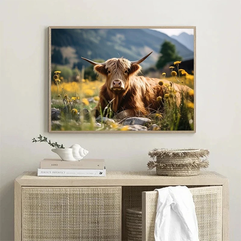İskoç Highlanders posteri Hayv - Photography Nature incelemesi ve fiyatı