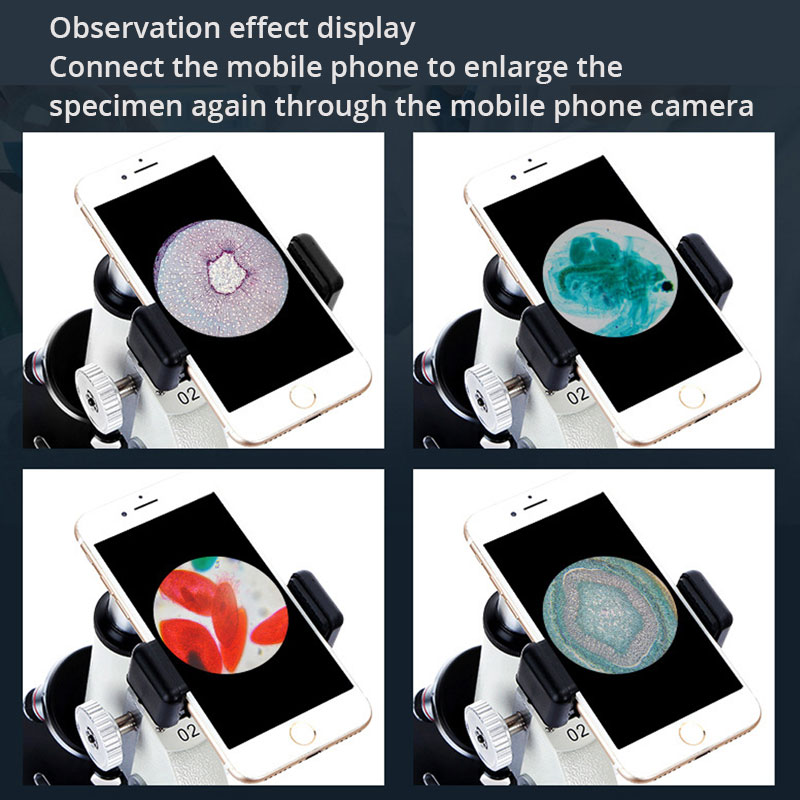 Optik profesyonel biyolojik mi - Photography University incelemesi ve fiyatı
